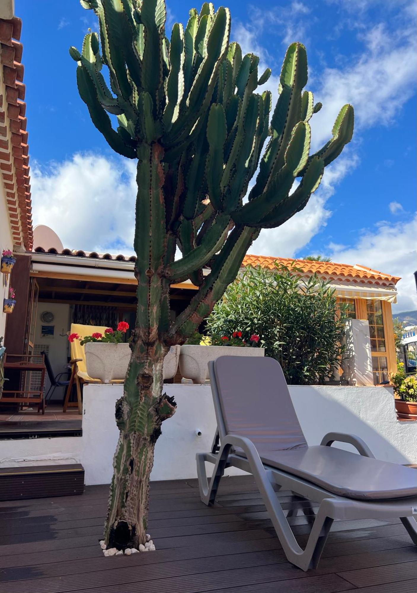 Cactus'S House, 150 M Beach, 1 Bdr, 4 Guests, Wifi, Netflix, Costa Adeje  Exterior photo